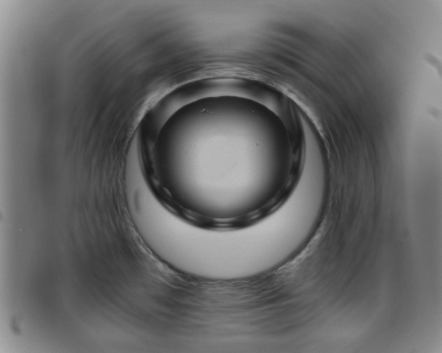 X0000096441481200801311418