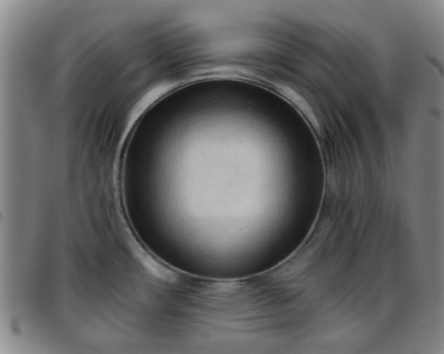 X0000096441482200801311418