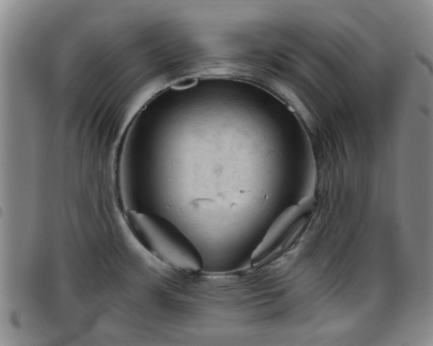 X0000096441483200801311418