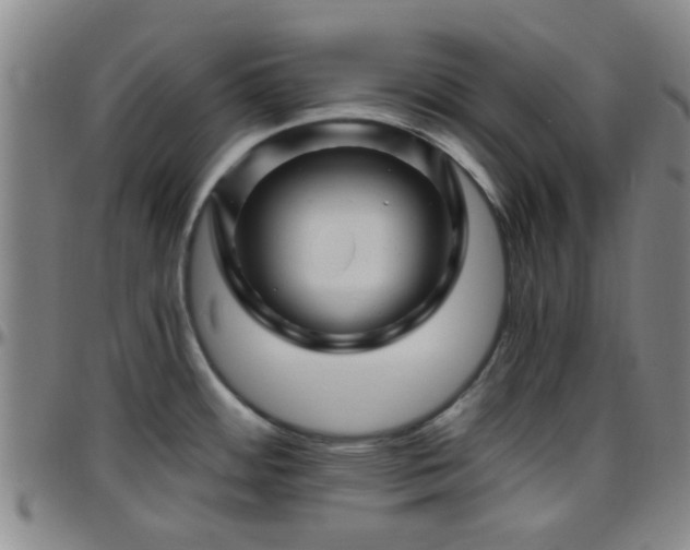 X0000096441484200801311418
