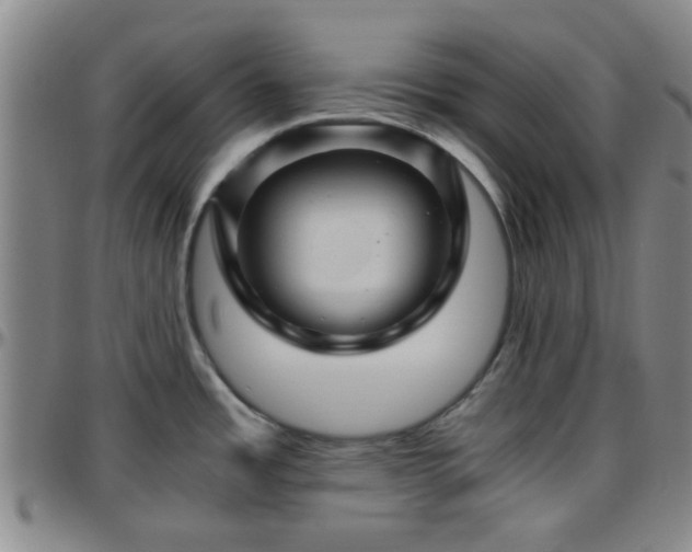 X0000096441485200801311418