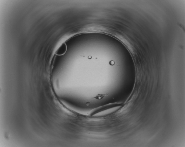 X0000096441486200801311418