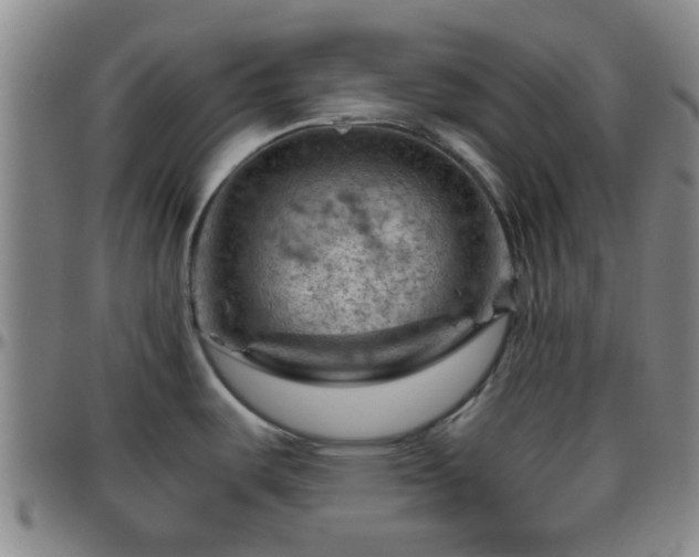 X0000096441487200801311418