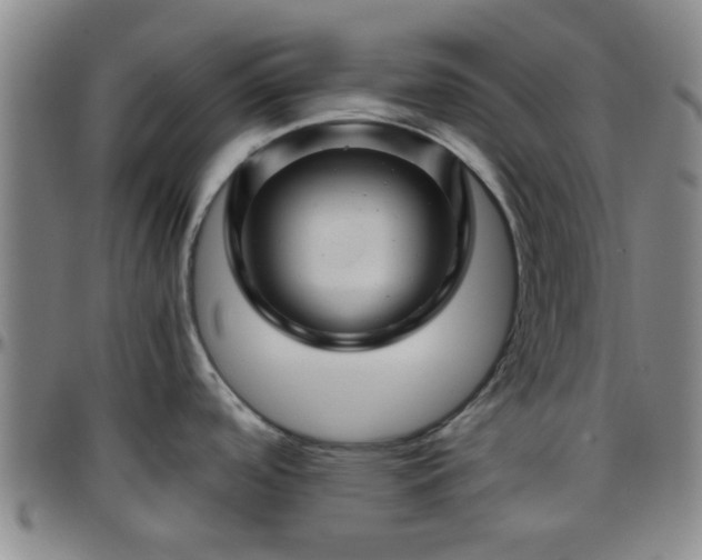 X0000096441488200801311418