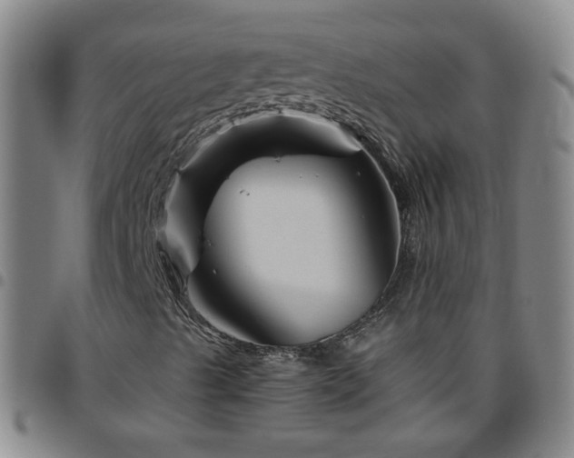 X0000096441489200801311417