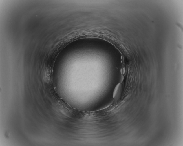 X0000096441490200801311417