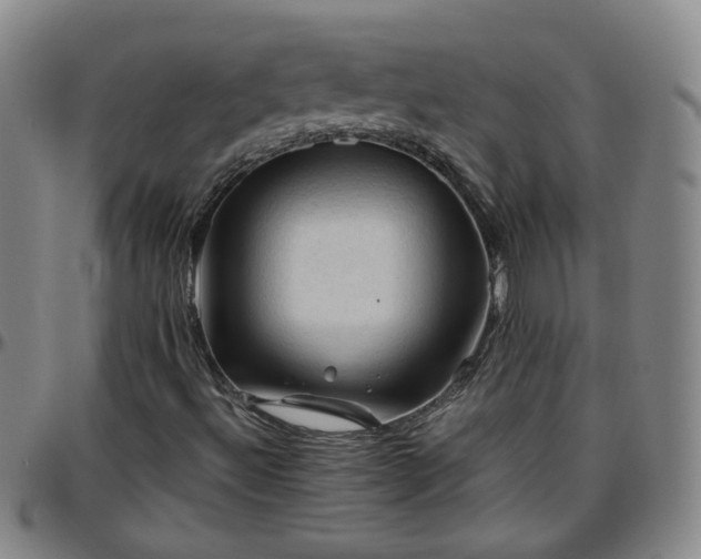 X0000096441492200801311417