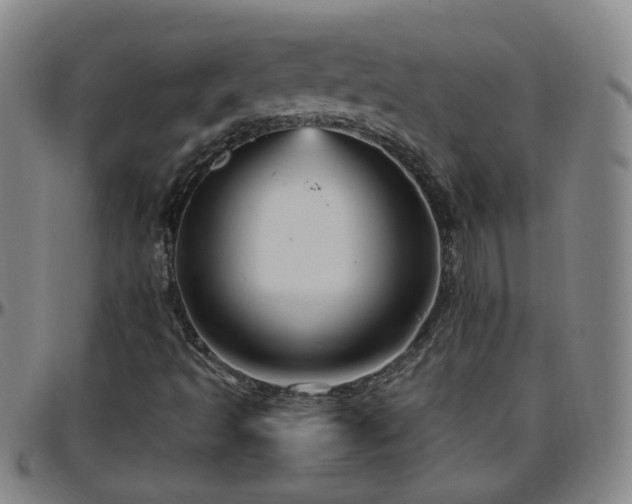 X0000096441493200801311417
