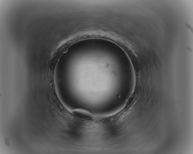 X0000096441494200801311417
