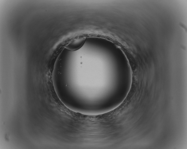 X0000096441495200801311417
