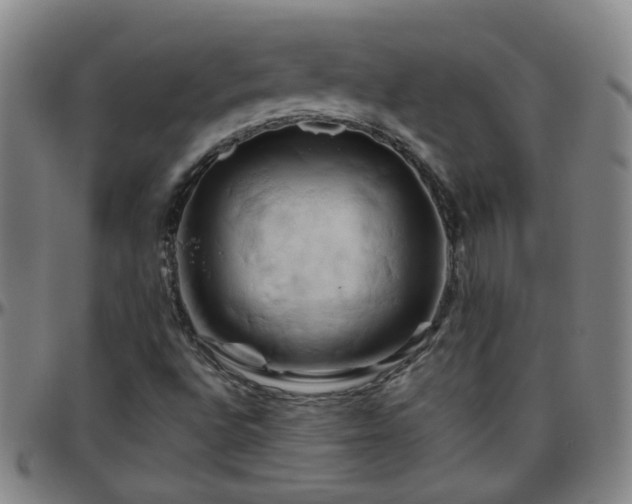X0000096441496200801311417