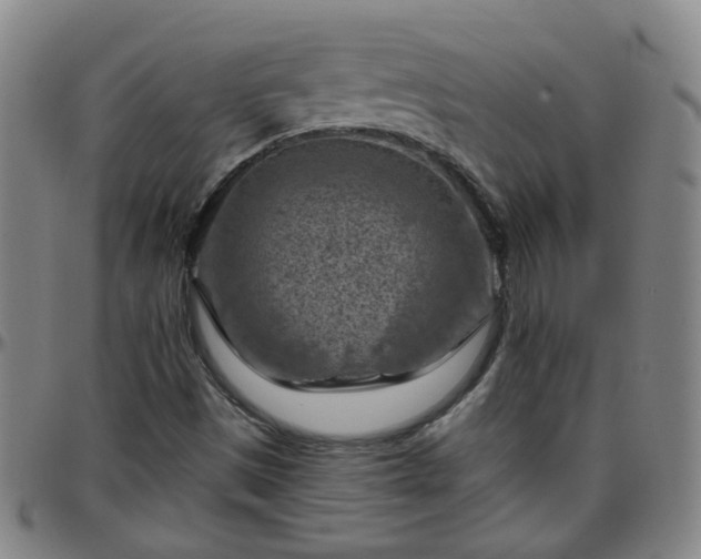 X0000096441497200801311417