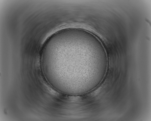 X0000096441498200801311417