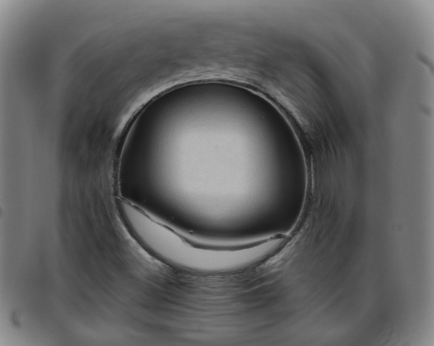 X0000096441500200801311417