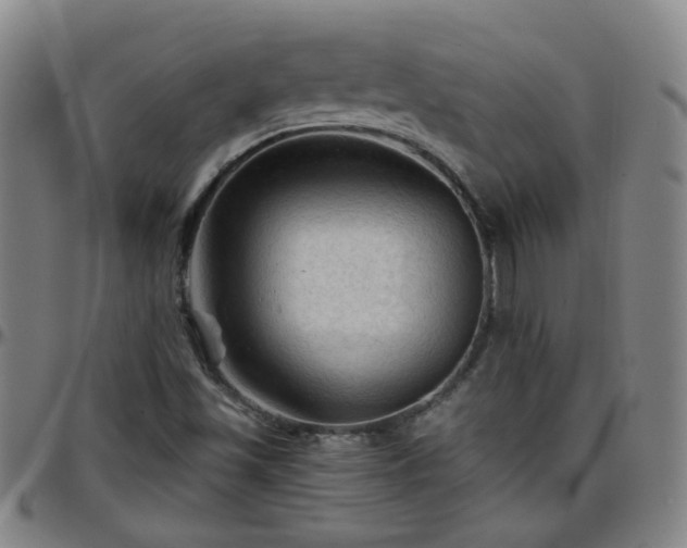 X0000096441501200801311417