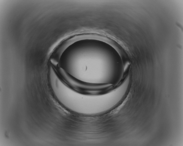 X0000096441502200801311417