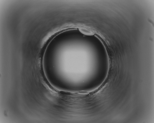X0000096441503200801311417