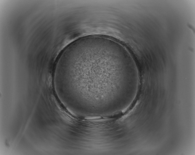 X0000096441505200801311417