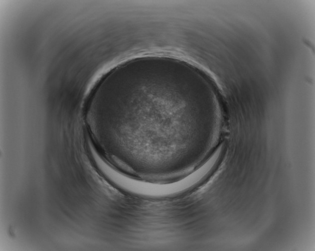 X0000096441506200801311418