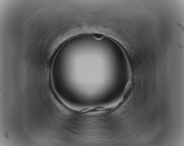 X0000096441507200801311418