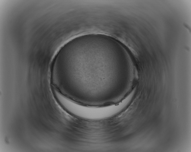 X0000096441508200801311418