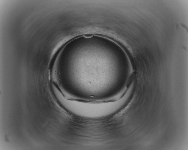 X0000096441509200801311418