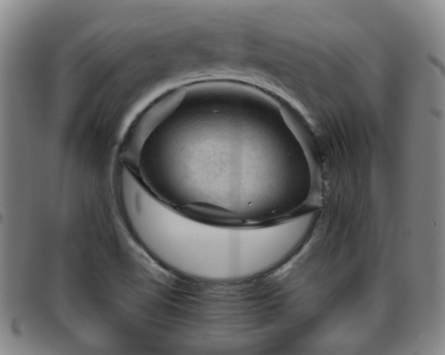 X0000096441510200801311418
