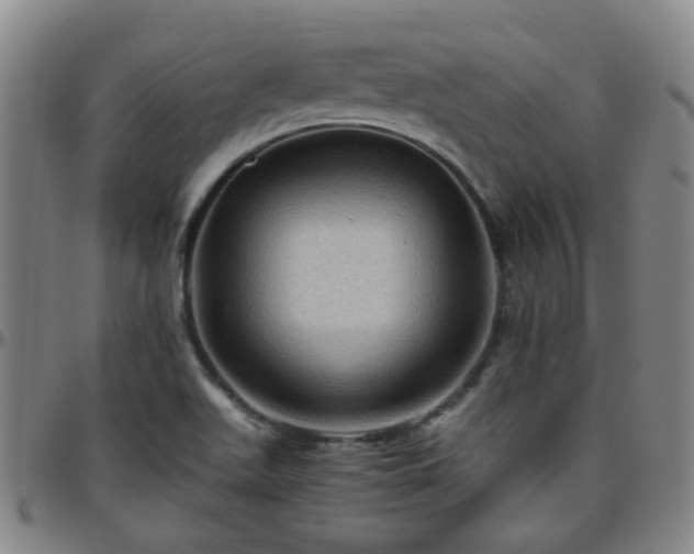 X0000096441511200801311418
