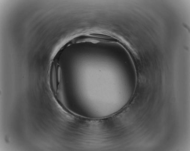 X0000096441512200801311418