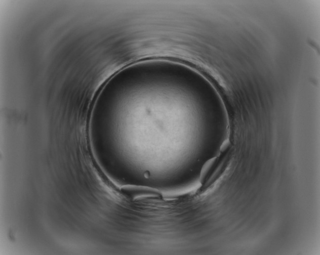 X0000096441513200801311418