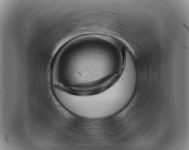 X0000096441514200801311418