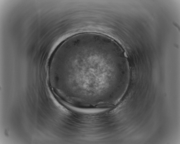 X0000096441515200801311418