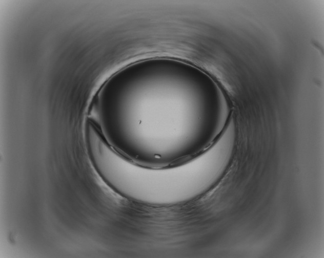 X0000096441516200801311418