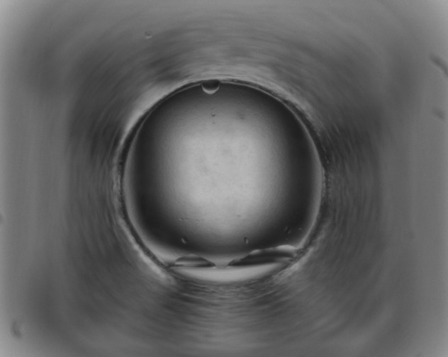 X0000096441517200801311418