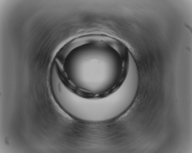 X0000096441518200801311418