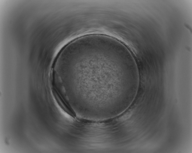 X0000096441519200801311418