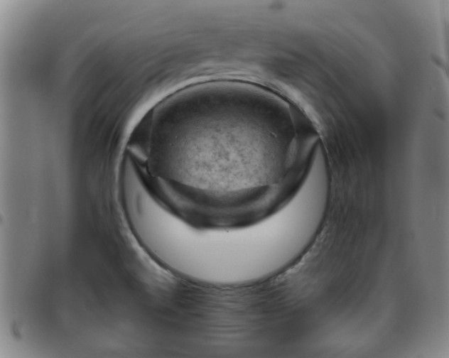 X0000096441520200801311418