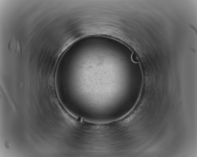 X0000096441521200801311418