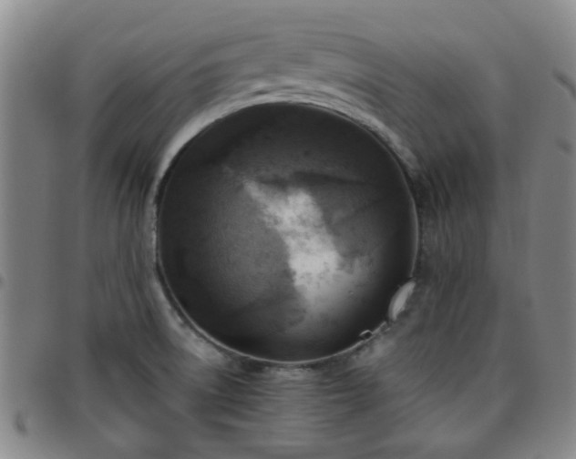 X0000096441522200801311418