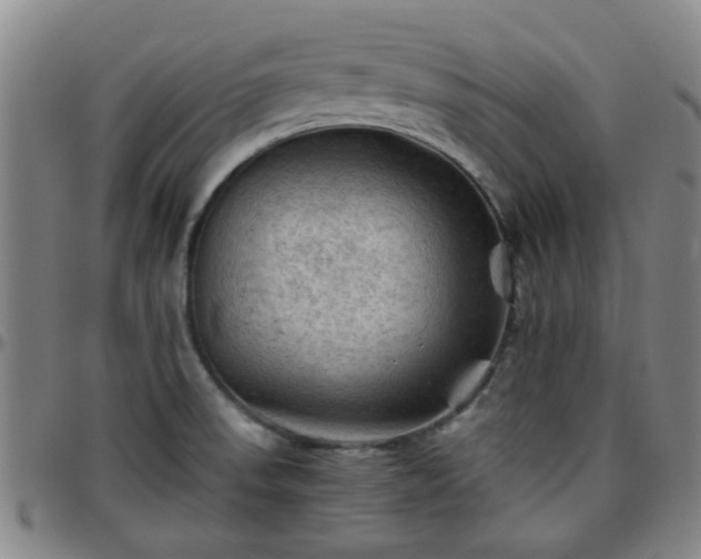 X0000096441523200801311418