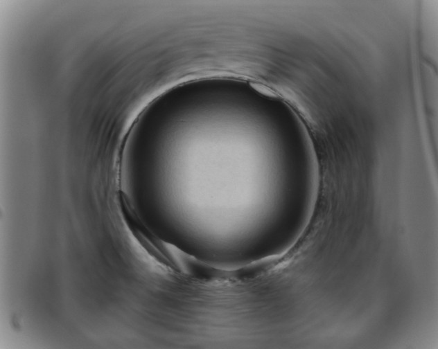 X0000096441524200801311418
