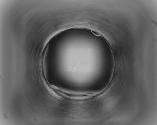X0000096441526200801311418