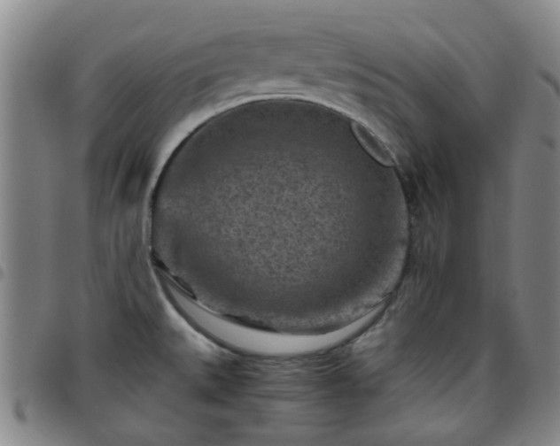 X0000096441527200801311418