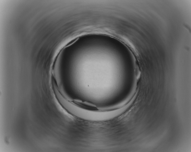 X0000096441528200801311418