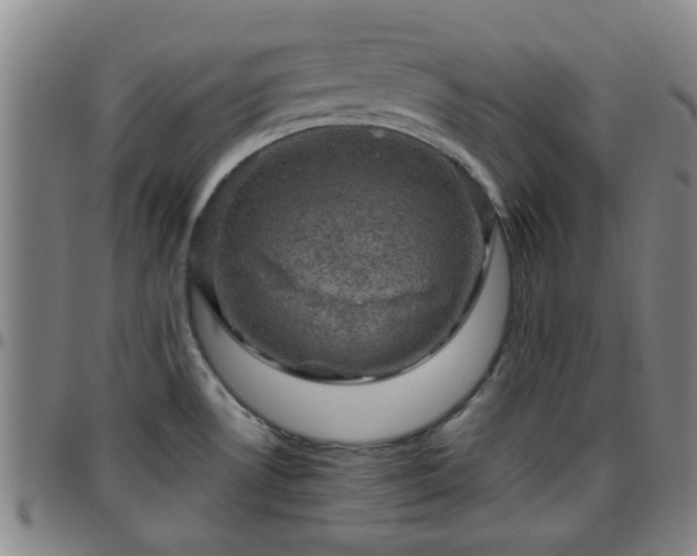 X0000096441530200801311418