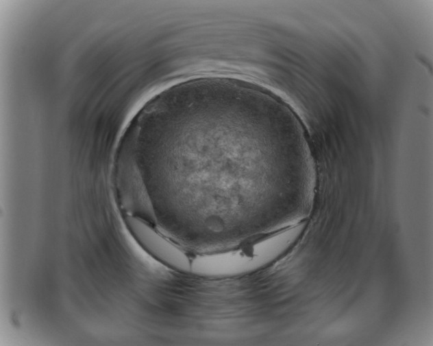 X0000096441531200801311418