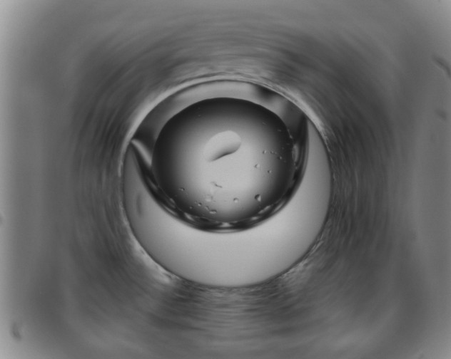 X0000096441532200801311418