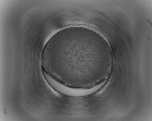 X0000096441533200801311418