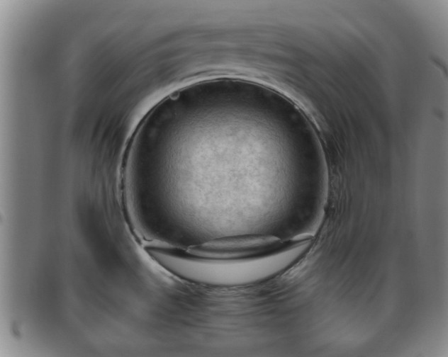 X0000096441535200801311418