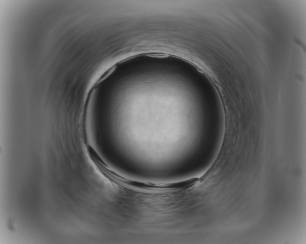 X0000096441536200801311418